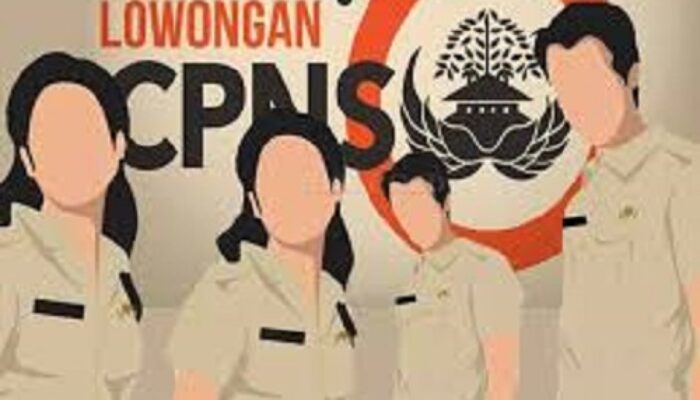 Tahun Ini, Pemkab Labusel Buka Lowongan CPNS 122 Orang