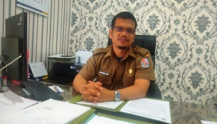 Pemkab DS Buka Lowongan CPNS Formasi Tahun 2024