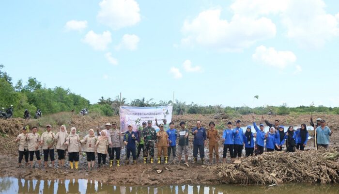 IP Gandeng LPHD Restorasi Hutan Mangrove Di Desa Pasar Rawa