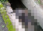 Pria Lansia Meninggal Di Parit, Pensiunan PNS Meninggal Di Rumah