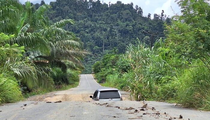 Jembatan Lintas Peureulak – Blang Kejeren Ancam Korban
