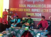 Pasangan Armia Fahmi – Ismail Borong Semua Partai