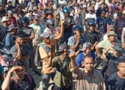 Seribuan Petani Abdya Duduki Lahan Eks HGU PT CA