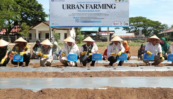 Urban Farming Kendalikan Inflasi
