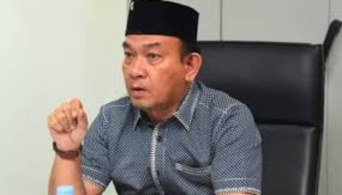 Mulai Musim Hujan, Komisi IV Minta Pemko Medan Tingkatkan Pemangkasan Pohon