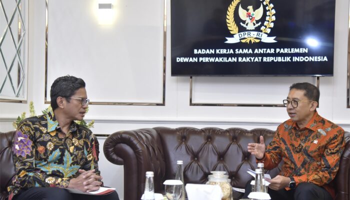 Perkuat Diplomasi Parlemen, DPR RI Siapkan ‘Indonesia-Africa Parliamentary Forum 2024’