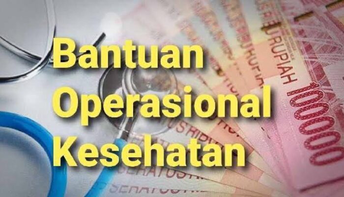 Ini Keterangan Inspektorat Soal Permintaan Pengembalian Dana Jaspel Dan BOK ke Pegawai