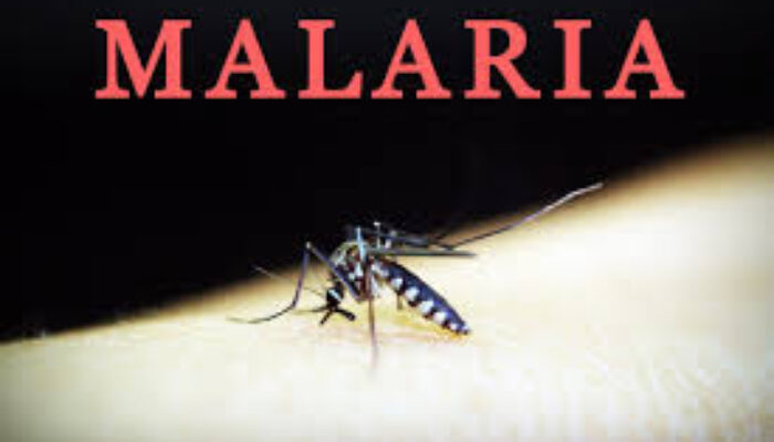 Delapan Orang Meninggal Dan Ratusan Terjangkit, Kabupaten Nisel Nyatakan Darurat Wabah DBD Dan Malaria