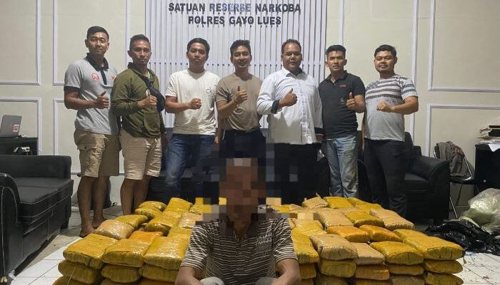 Polres Gayo Lues Amankan Kurir 250 Kg Ganja