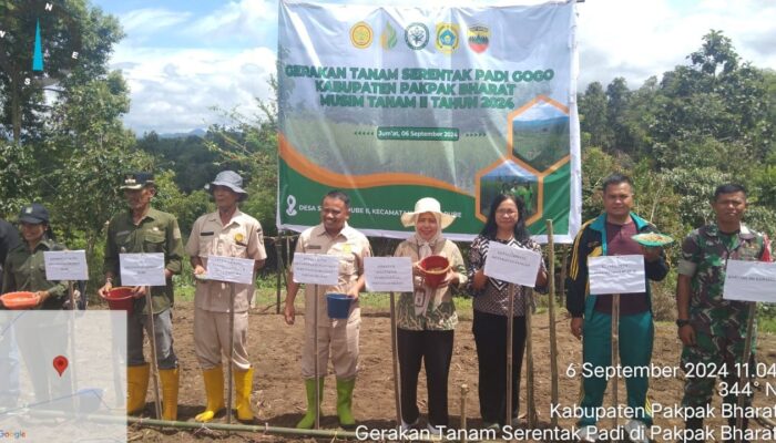 Kementan Laksanakan Gerakan Tanam Serentak Padi Gogo Di Pakpak Bharat