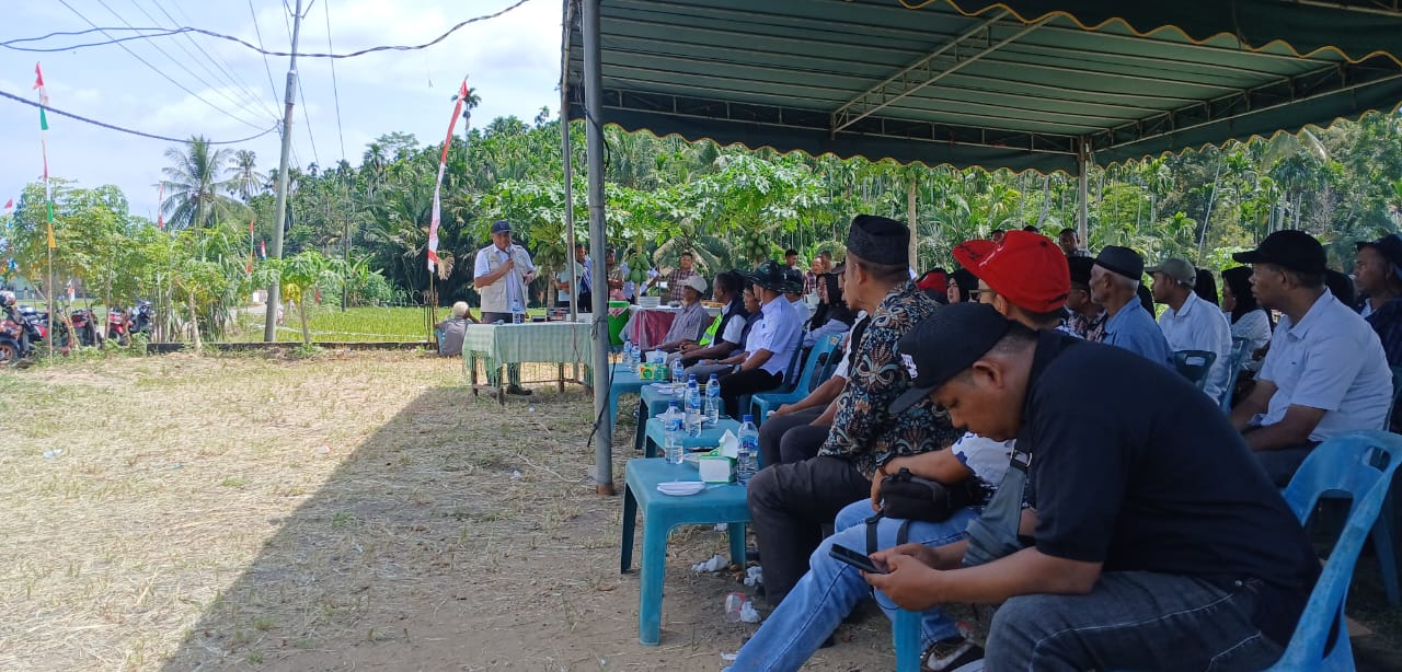 Kadistanbun Bireuen: Tanaman Padi Diserang Penyakit, Lapor Ke BPP Kecamatan