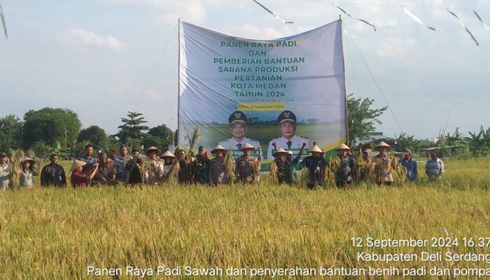 Kementan Dan Pemkot Medan Panen Raya Padi Sawah
