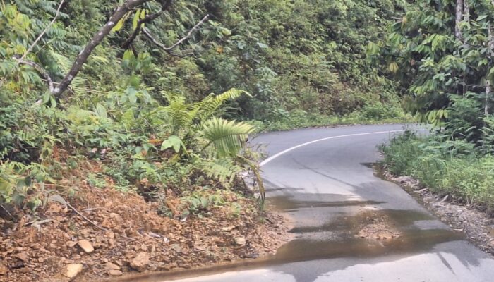 Lintas Provinsi Dari Aceh Timur Ke Gayo Lues Kerap Longsor