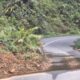 Lintas Provinsi Dari Aceh Timur Ke Gayo Lues Kerap Longsor