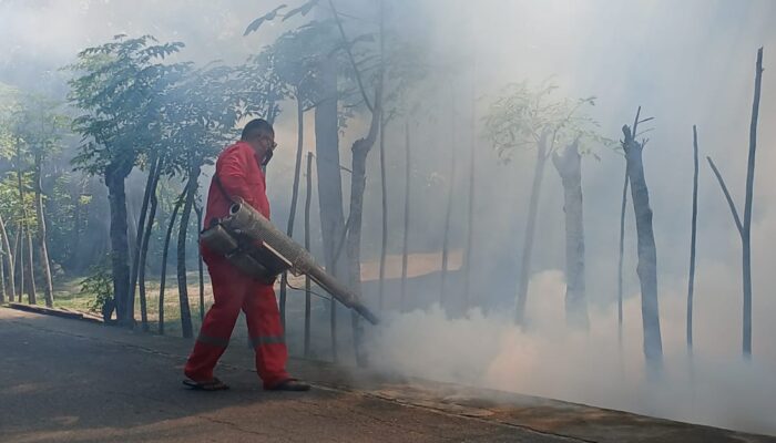202 Kasus DBD Di Bireuen, Gotroy Satu Solusi Basmi Nyamuk