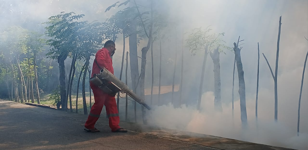 202 Kasus DBD Di Bireuen, Gotroy Satu Solusi Basmi Nyamuk