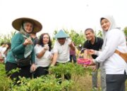 Menjaga inflasi tetap terkendali dalam sasaran