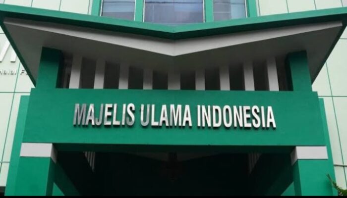 Haram Hukumnya Memilih Pemimpin Non-Muslim, MUI Sumut Ingatkan Fatwa MUI