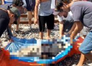 Minta Rokok, Dodo br Panjaitan Tewas Ditabrak Kereta Api