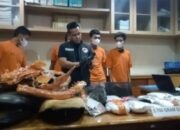 TNI-Polri Ringkus Sindikat Pengedar Ganja Antar Provinsi Di Tembung