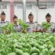 Lapas Medan Panen Raya Tanaman Hidroponik