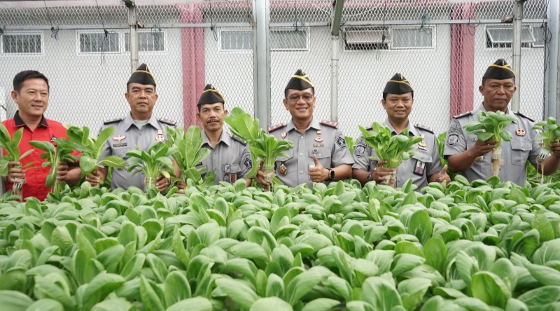 Lapas Medan Panen Raya Tanaman Hidroponik