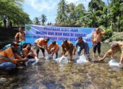 Dorong Ekosistem Perairan Lestari, Agincourt Resources Tebar Puluhan Ribu Bibit Ikan di Lubuk Larangan