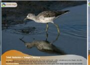 Gampong Cinta Raja Masuk Nominasi Desa Wisata Tingkat Nasional