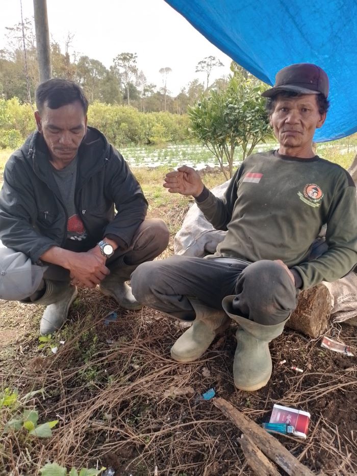 KETUA Kelompok Tani Hutan Marsiurupan Dair, Desa Parbuluan I Rahman Sinaga(kanan) saat ditemui di ladangnya, Sabtu(7/9).Waspada/Kartolo Munte
