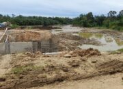 Aceh Utara Peringati Hari Jadi Ke-798, Puluhan Ribu Petani Menderita