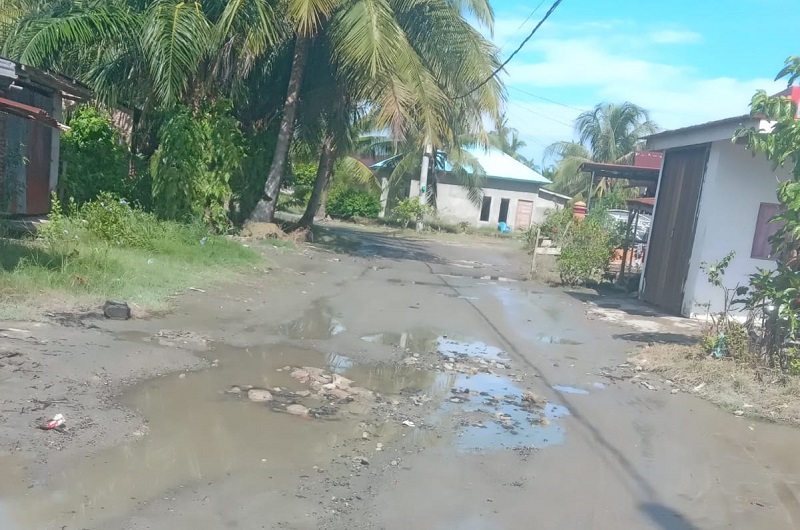 Perlu Upaya Nyata Minimalisir Banjir Pasang Di Batubara Perlu Upaya Nyata Minimalisir Banjir Pasang Di Batubara