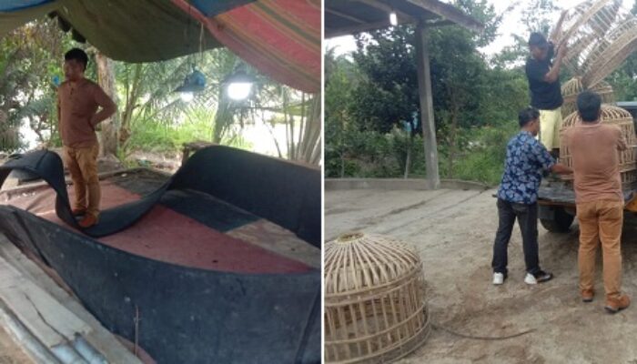 Pelaku Sabung Ayam Lari Saat Digerebek
