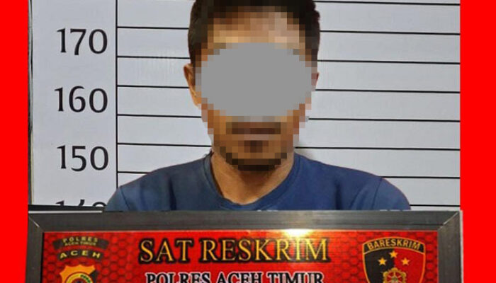 Polisi Ringkus Pemerkosa IRT Di Aceh Timur