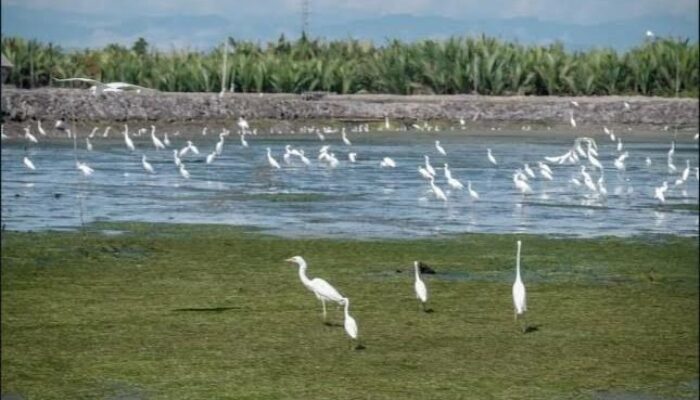 Gampong Cinta Raja Lolos 15 Besar Lomba Desa Wisata Nusantara