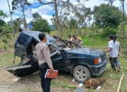 Tiga Warga Deliserdang Tewas Ditimpa Pohon Di Langkat