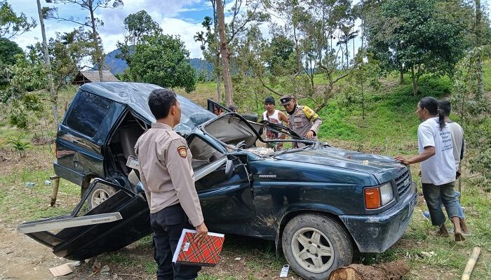 Tiga Warga Deliserdang Tewas Ditimpa Pohon Di Langkat