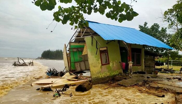 Atasi Keganasan Abrasi, BNPB Didesak Bangun Tanggul Pantai