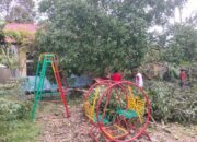 Ditimpa Pohon Tumbang, PAUD Di Abdya Rusak