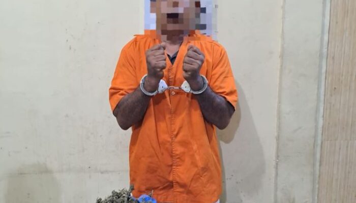 Pemilik Daun Ganja Kering Ditangkap Polisi 