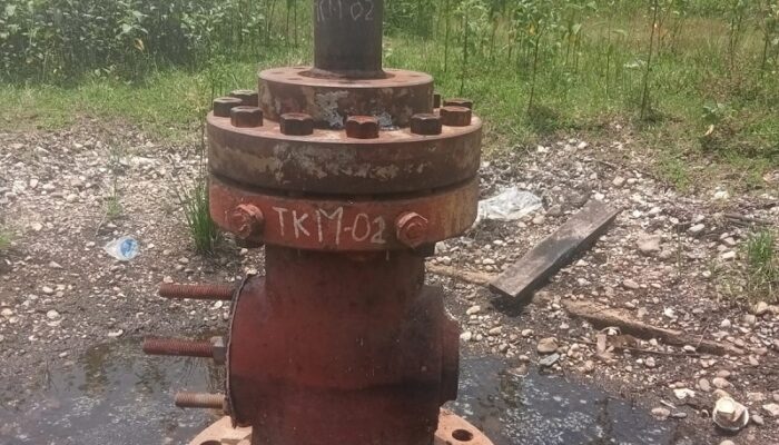 Produksi Minyak Pertamina P. Susu Anjlok, Duri Jadi Jantung Pompakan Energi Indonesia