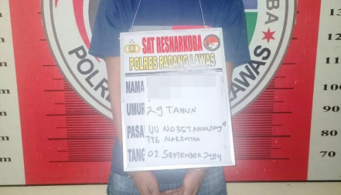 Menyamar, Personel Polres Palas Ringkus Pengedar Narkoba