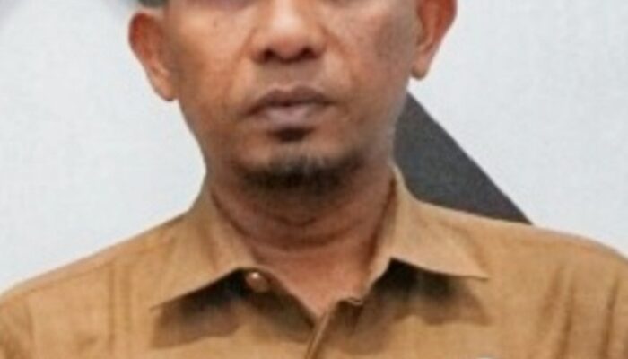 Liza Marfandi Plt Sekda Abdya