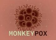 Sampai Saat Ini, Mpox Belum Ada Ditemukan Di Sumut