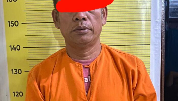 Polres Taput Amankan Terduga Pengedar Ganja