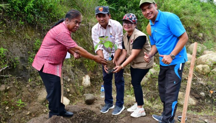 Pemkab Samosir Tanam Pohon Di Wilayah Rawan Bencana