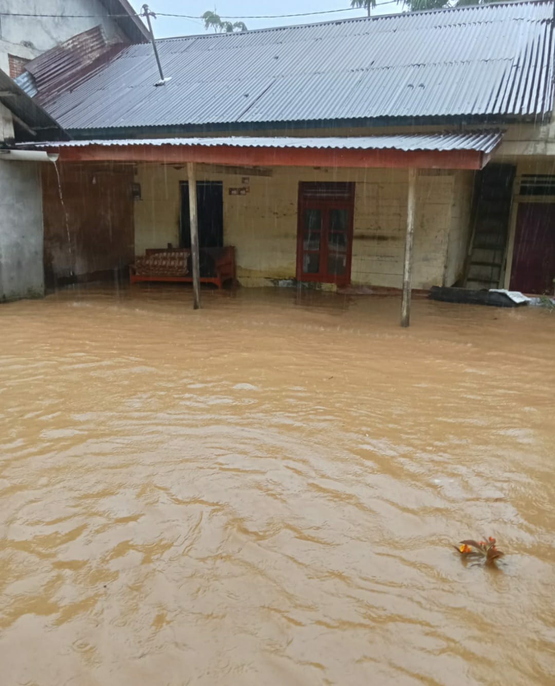 Hujan Deras, Lima Kecamatan Di Abdya Terendam Banjir Hujan Deras, Lima Kecamatan Di Abdya Terendam Banjir