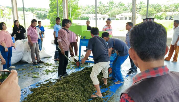 Dukung Sektor Pertanian Rakyat, PLN Serahkan TJSL Untuk P3A Di Toba