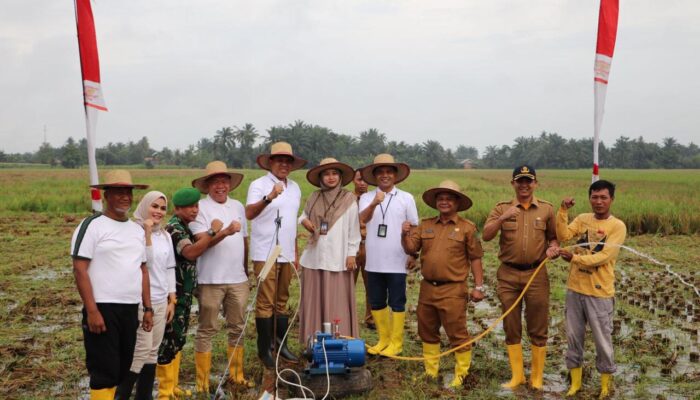 PLN UP3 Binjai Dan TPID Langkat Luncurkan Program BIS LIPIN