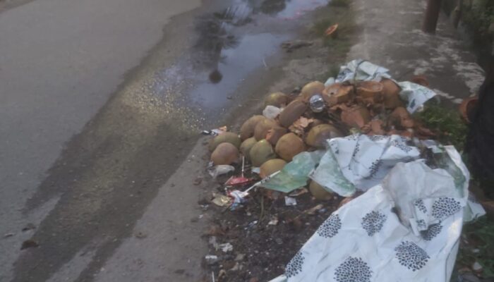 Warga Kecewa, Sampah Menumpuk Di P. Brandan 