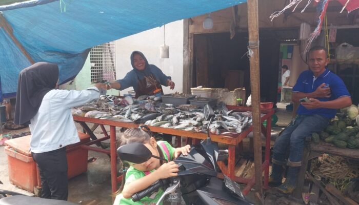 Harga Ikan di Deli Serdang Relatif Stabil